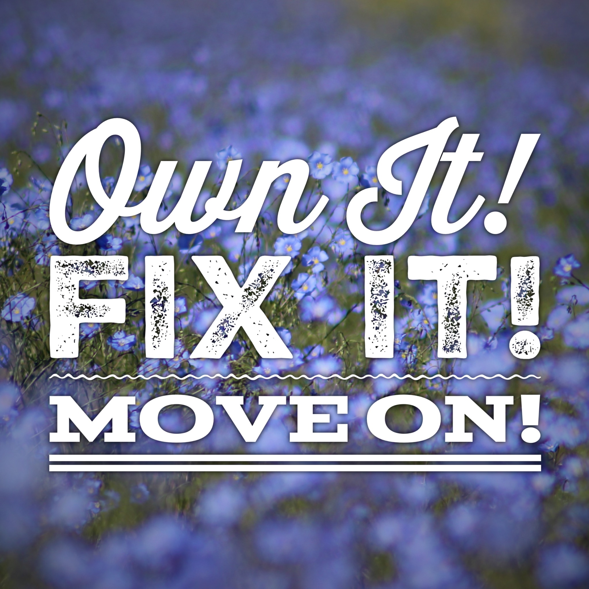 Own it, Fix it, Move on.. – Quail Run Farm